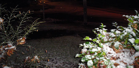 snow.jpg