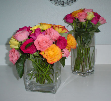 twoflowers.jpg