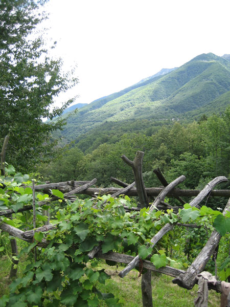 villa.jpg