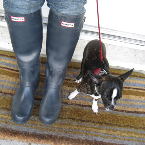 hunterboots