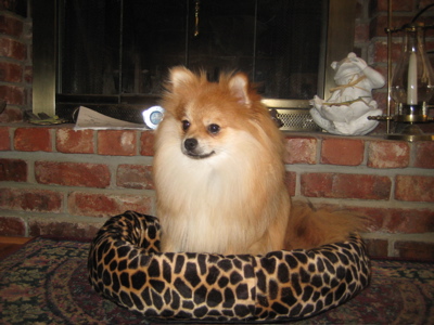 Queequeg