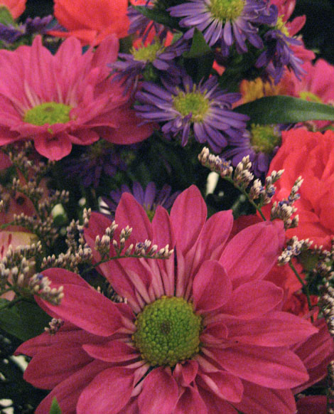 flowers