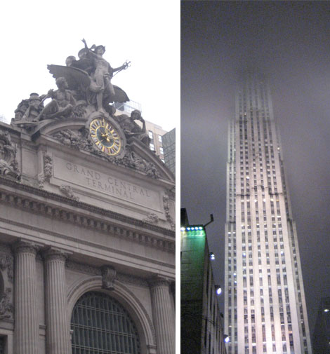nysights nysights