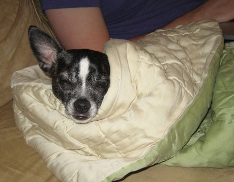 crusherburrito