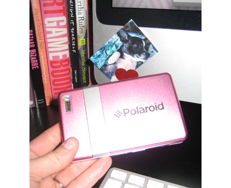 polaroid