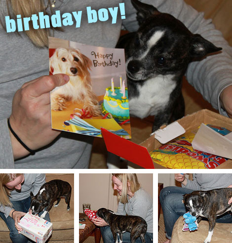 crusherbirthday