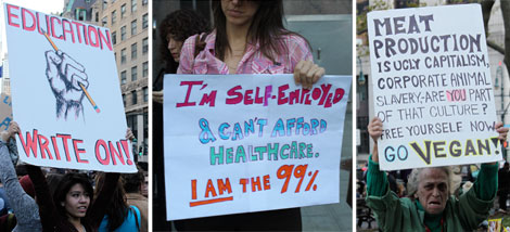 occupywallstreetsigns1